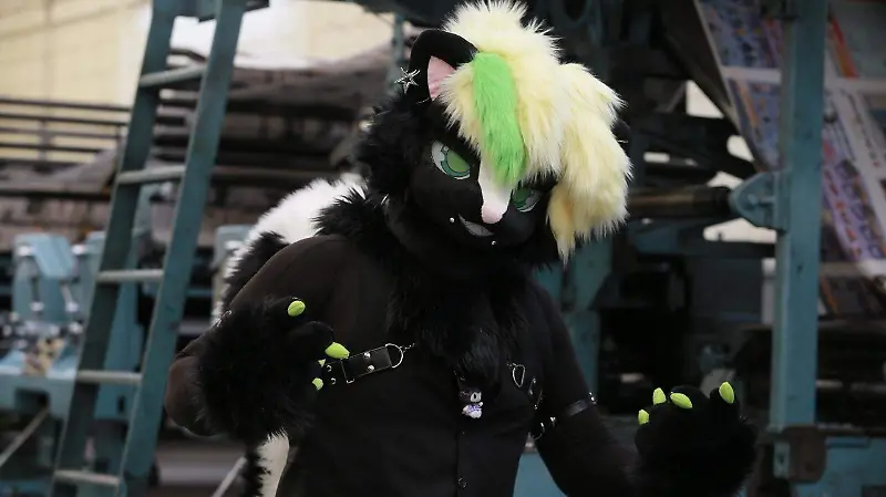 Furros, una combinación entre la creatividad y el arte